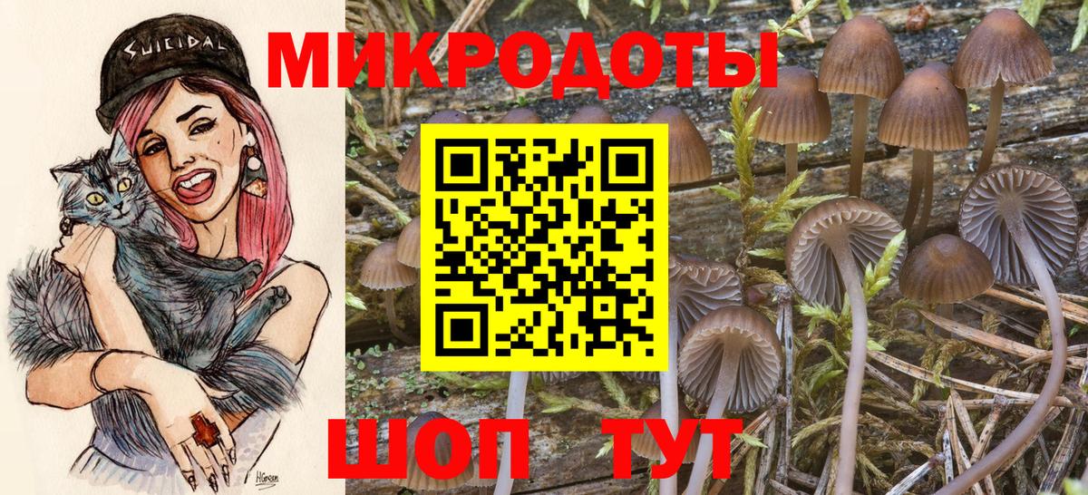 Верхний Уфалей  Псилоцибиновые грибы Cubensis  Вход с VPN  Псилоцибиновые грибы MAGIC MUSHROOMS 